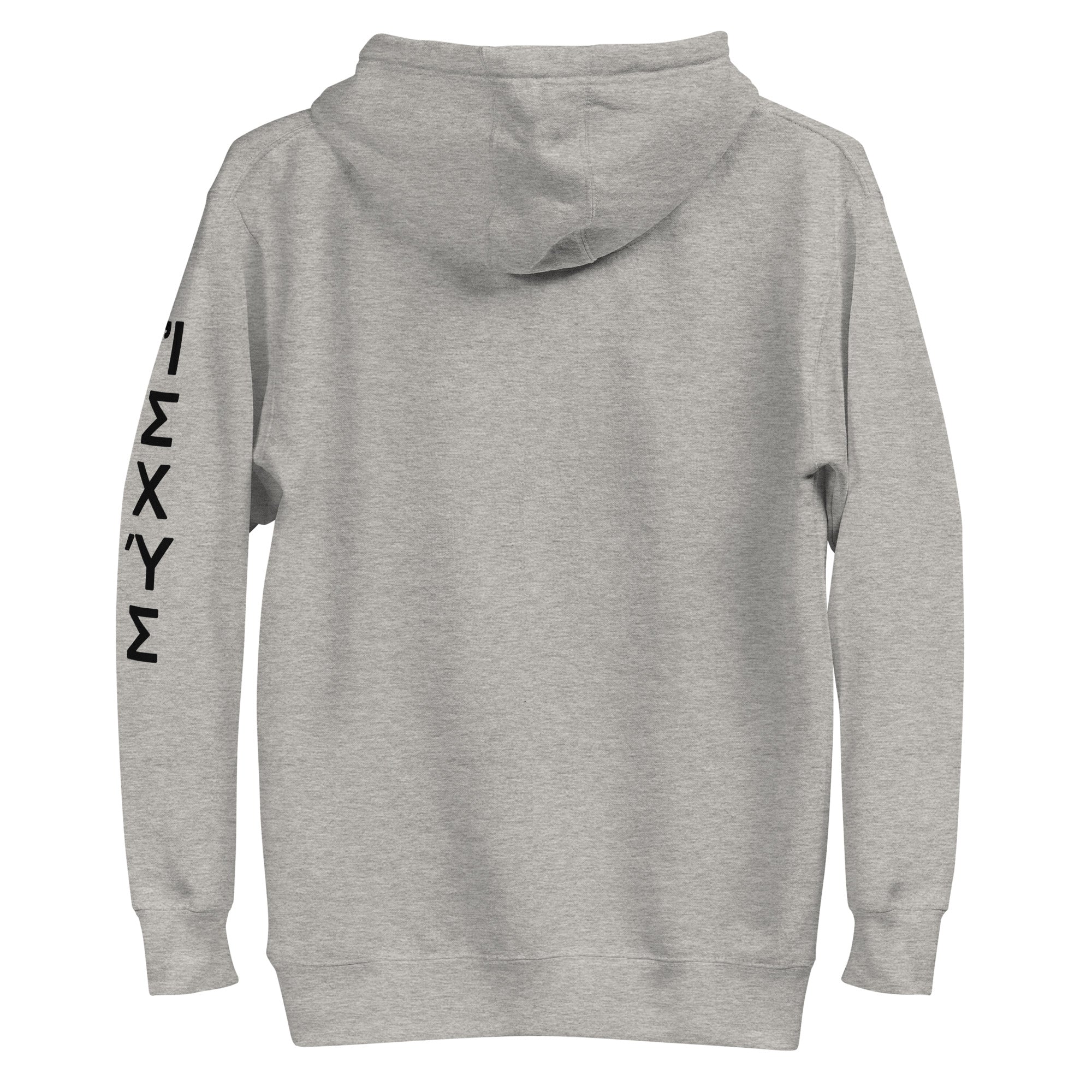 Isaiah 40:31 Unisex Hoodie – Ischus